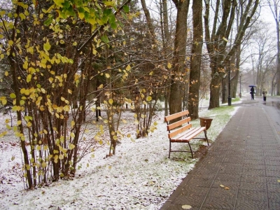 nesvizh_8